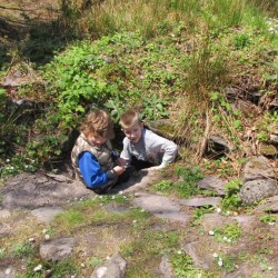 Children exploring in the Derrynane gardens