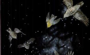 Birds navigate to the stars