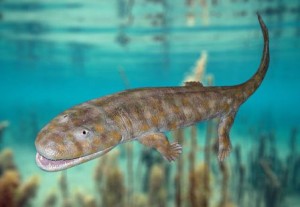 Tetrapod - what it might have looked like