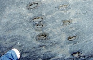 Tetrapod Tracks on valentia island - photo Julie Ormonde