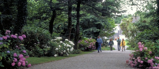 Walking the Derrynane  Gardens