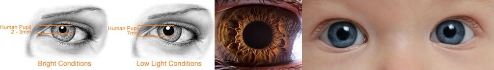 eyes collage