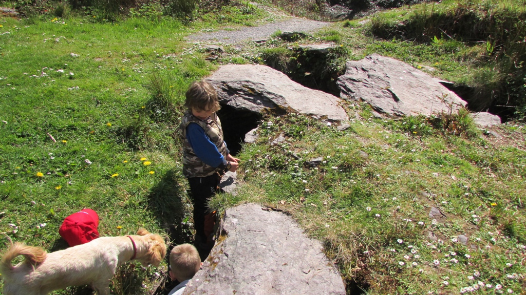 Children exploring derrynane gardens - photo Julie Ormonde