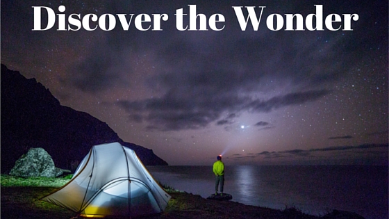 discover the wonder